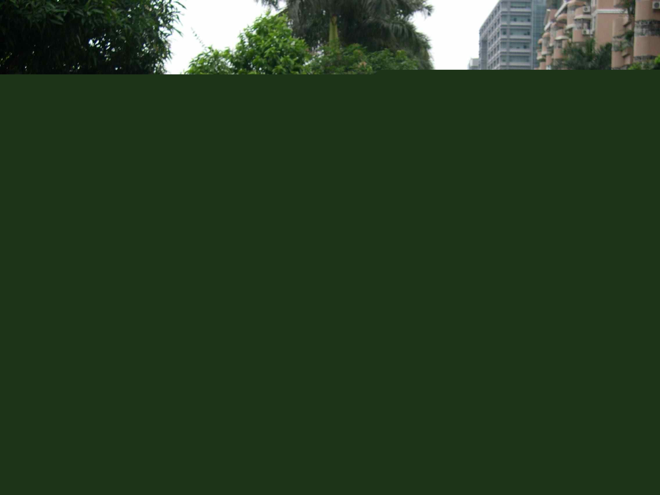 供卵试管婴儿中精子与卵子不结合该怎么办？
